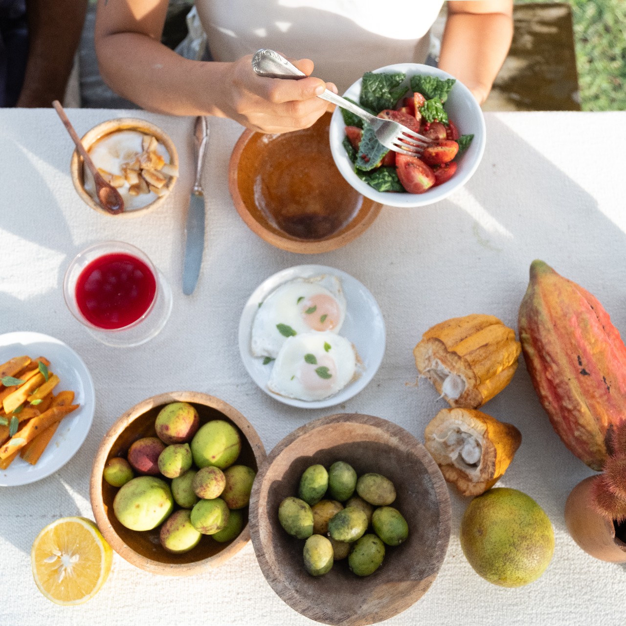 alimentação completa