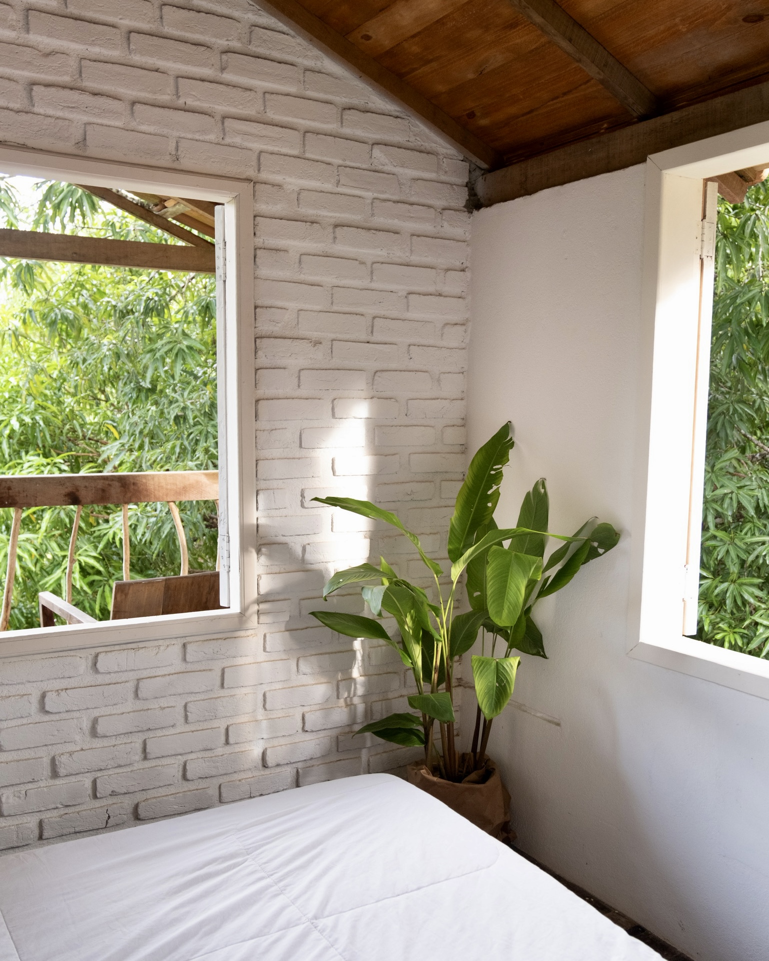 Casa Guapuruvu 3