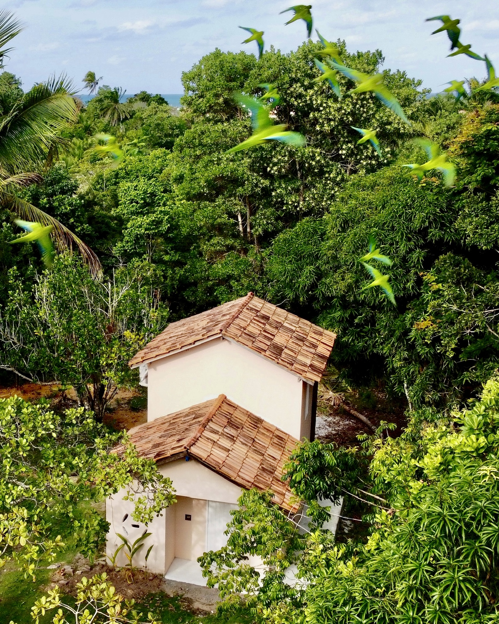 Casa Guapuruvu 1