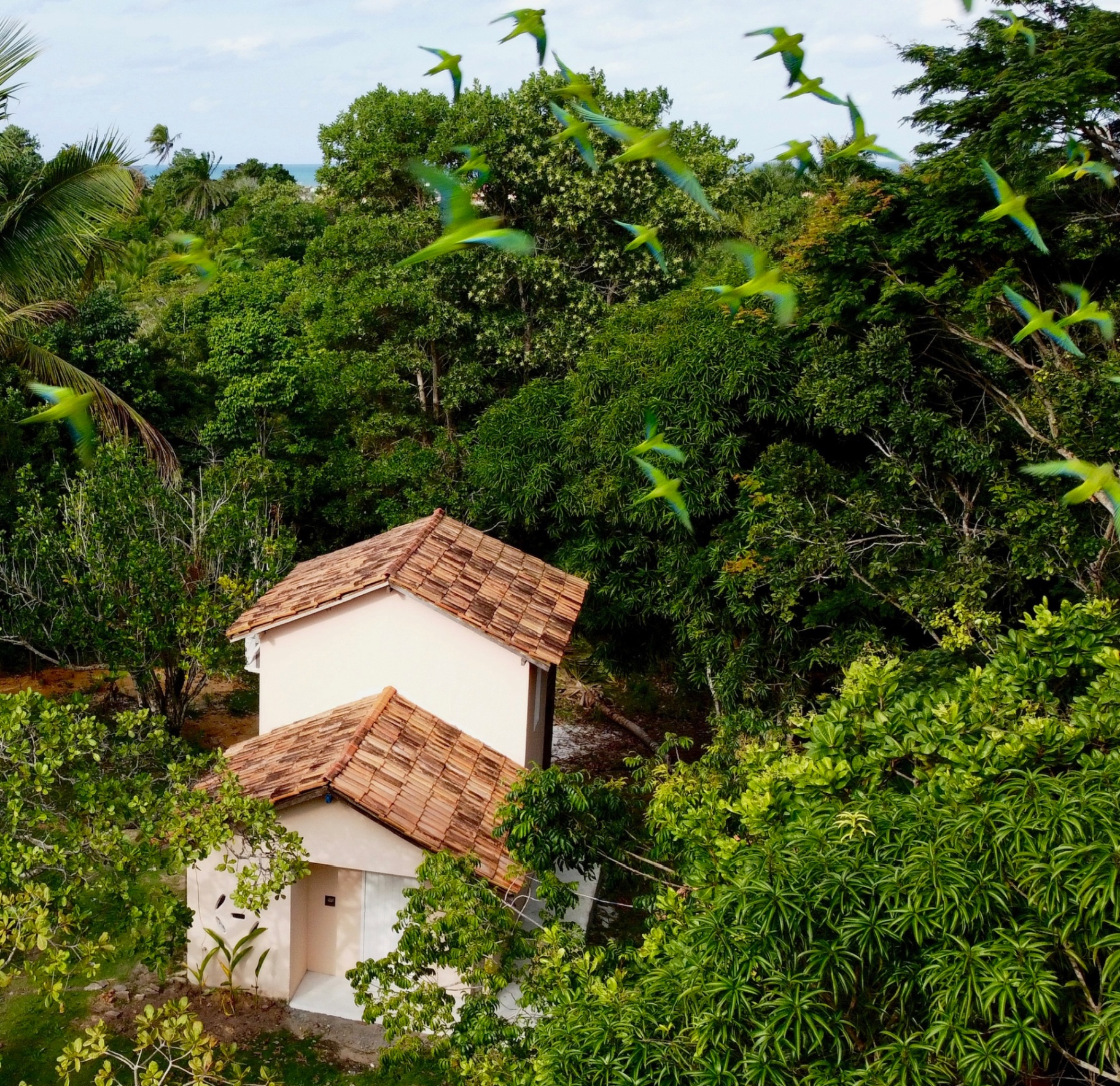 Casa Guapuruvu 1