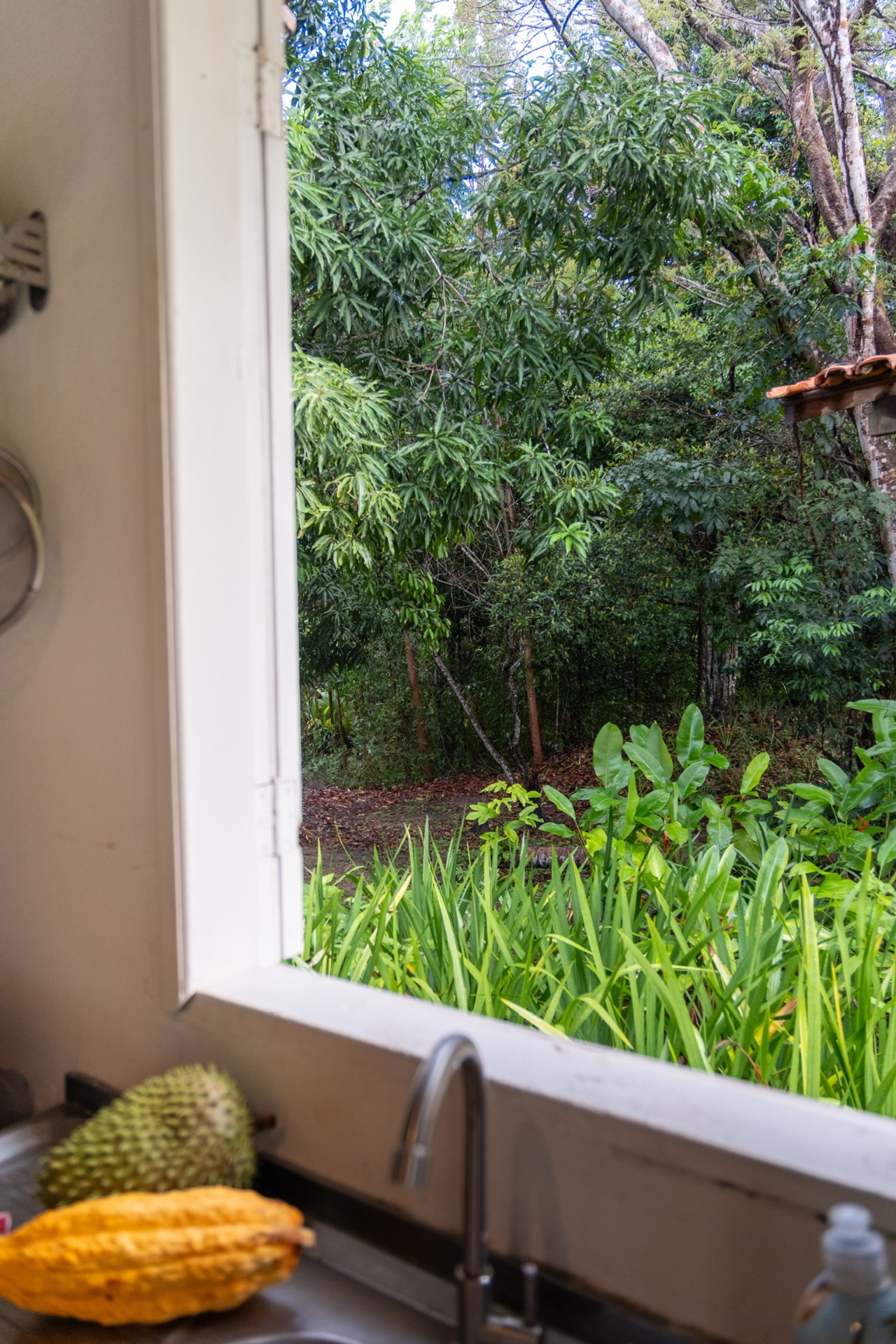 Casa Guapuruvu 7