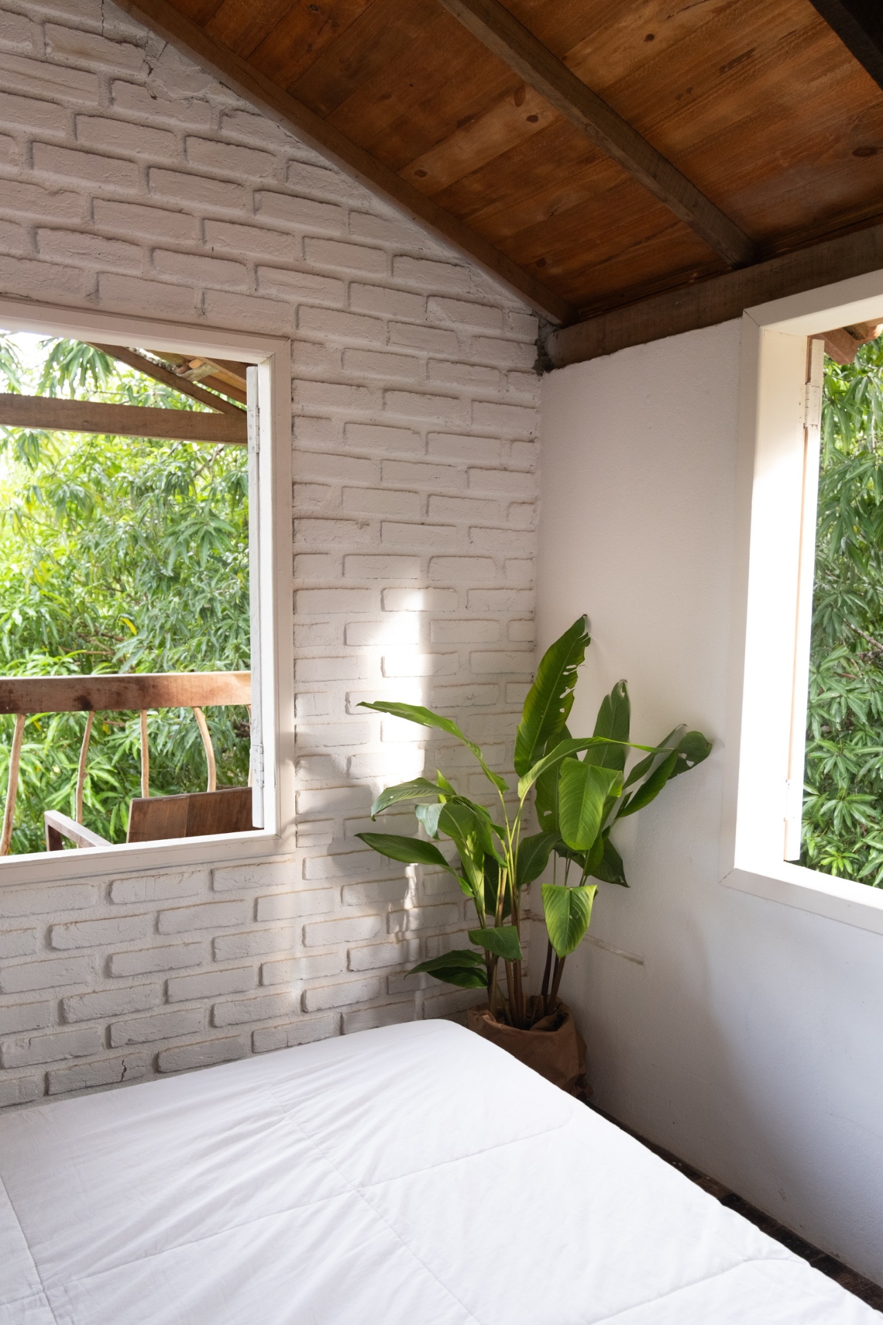 Casa Guapuruvu 10
