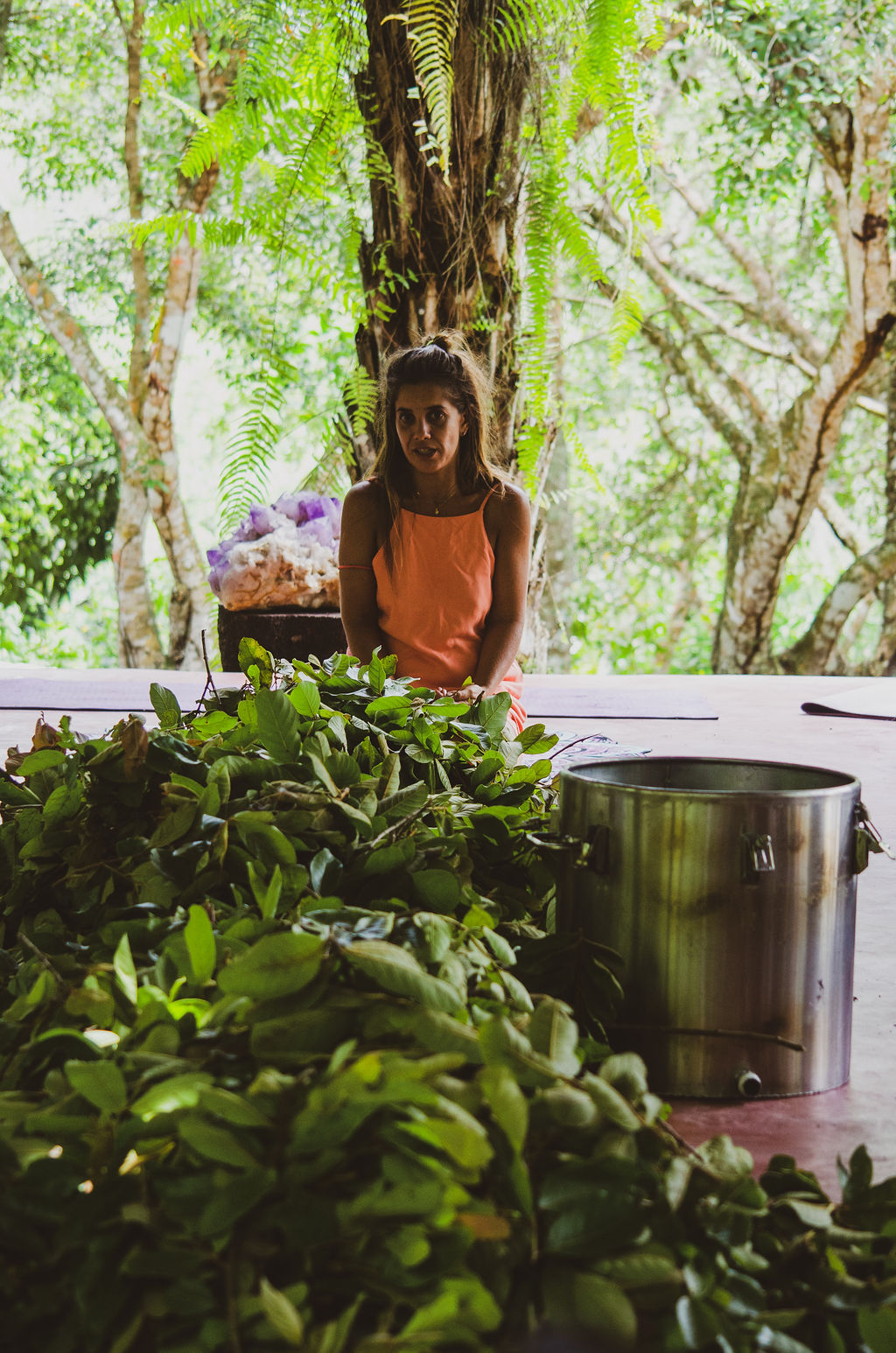 aromas da mata atlântica