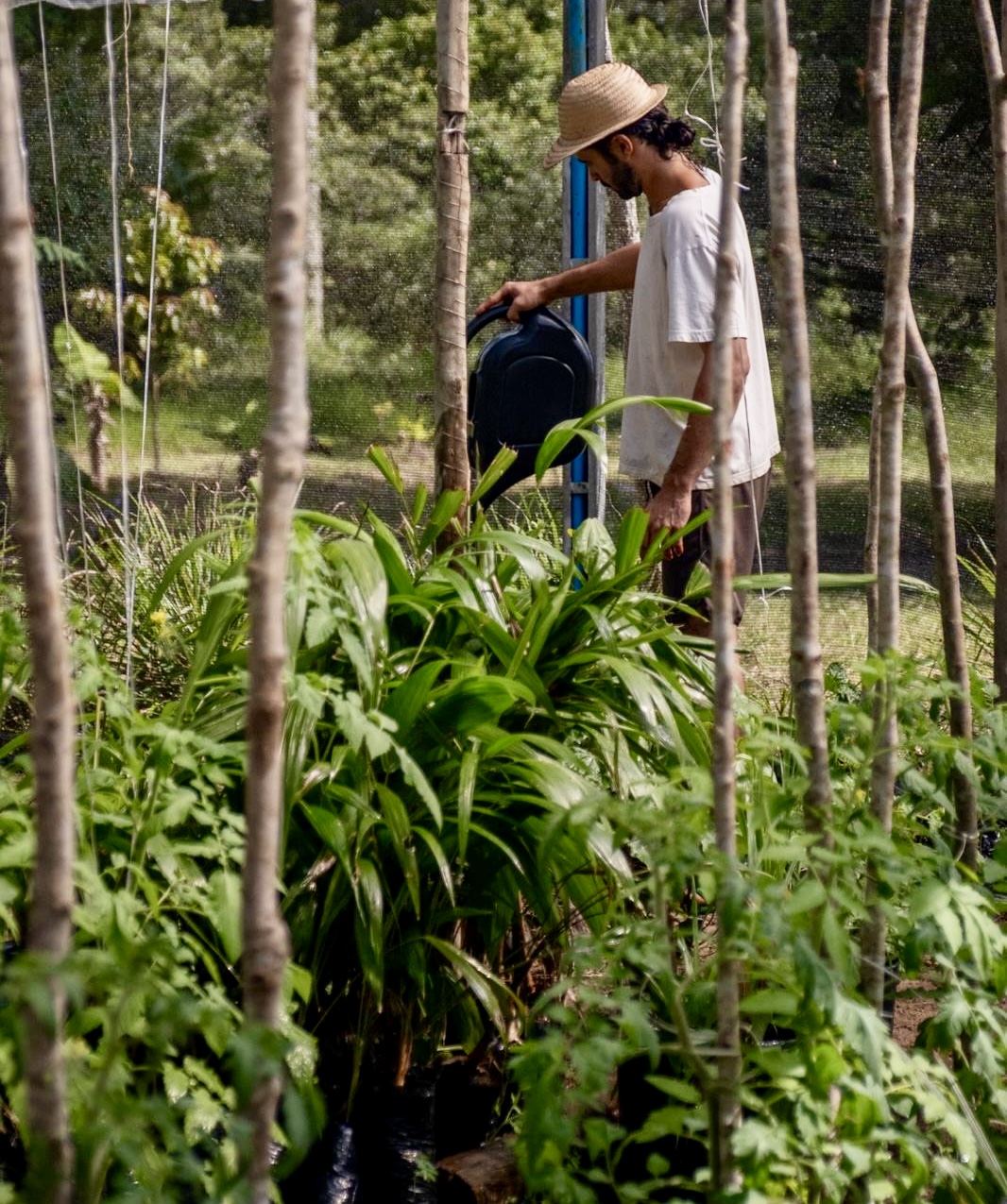Dia a dia na fazenda
