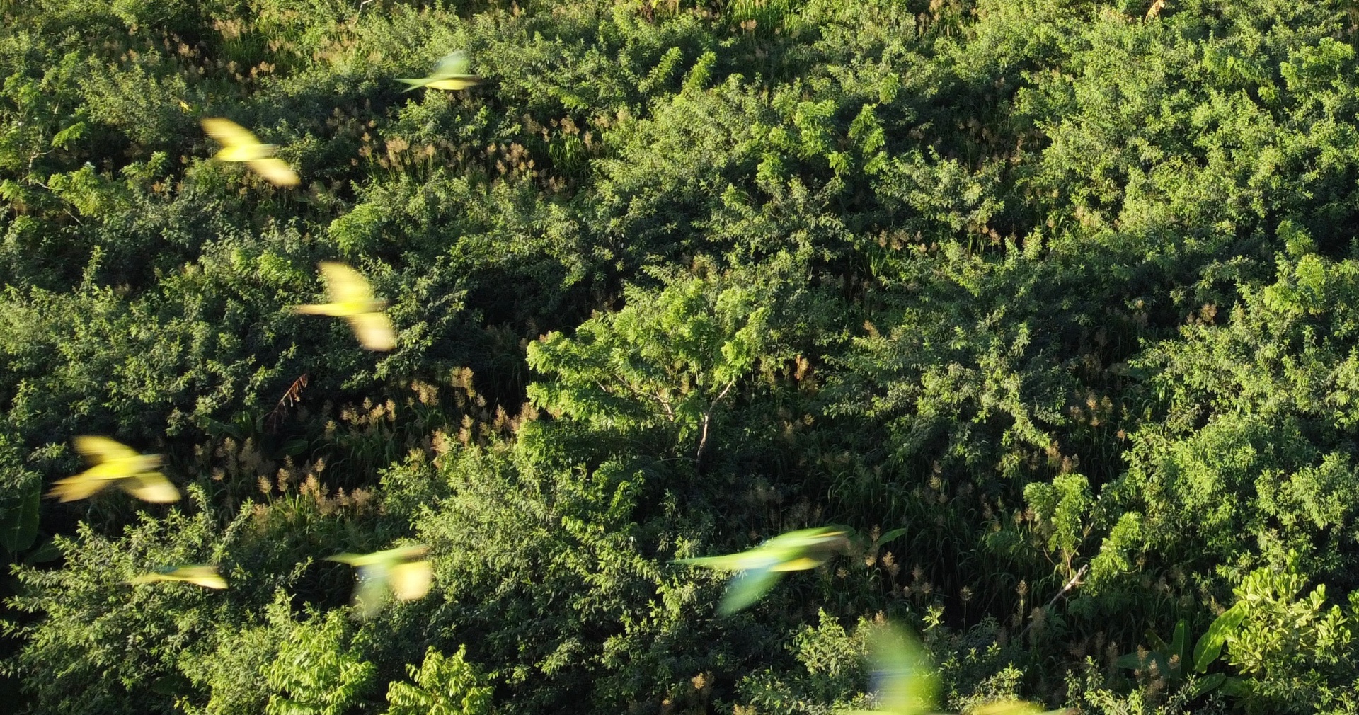 Fazenda Quebra-Pote