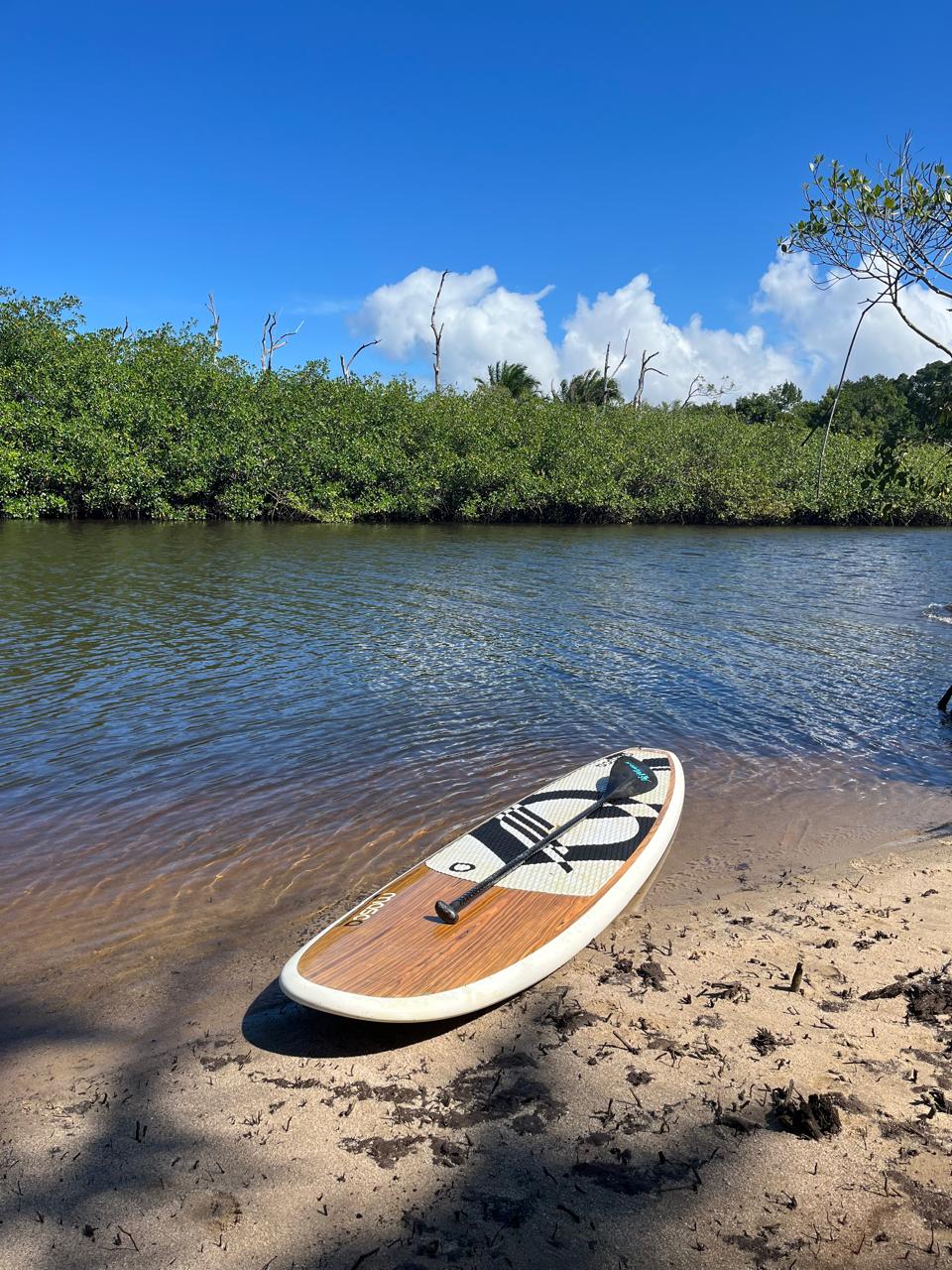Stand-up paddle